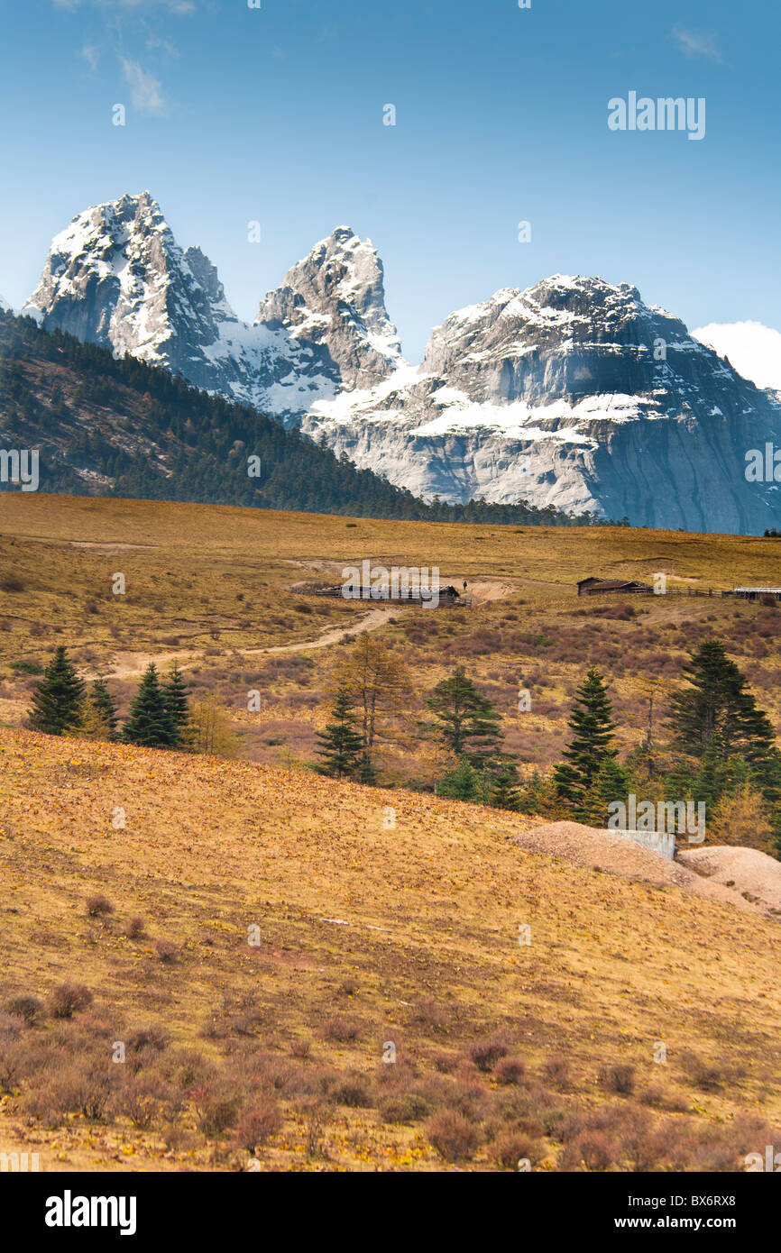 Yulong Xue Shan Berg, auch bekannt als Jade Dragon Snow Mountain, vom Yak Wiese Sicht, Lijiang, Provinz Yunnan, China Stockfoto