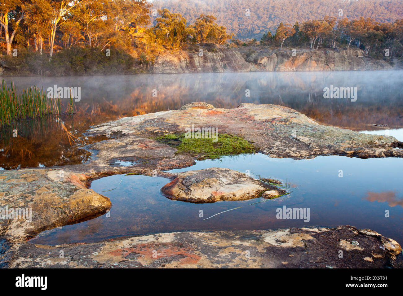 Morgennebel am Dunns Sumpf, Wollemi Nationalpark, Rylstone, New South Wales Stockfoto