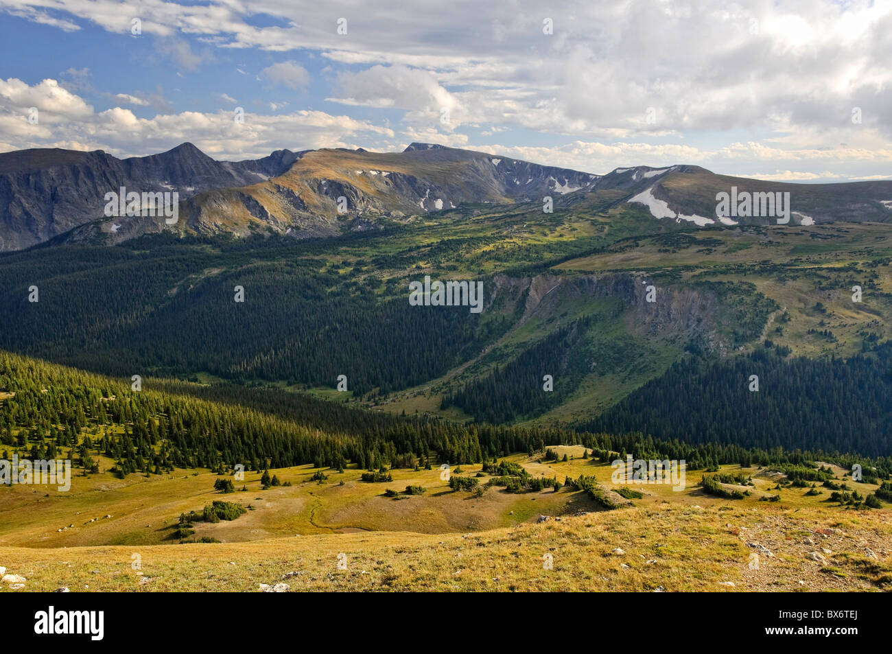 Tundra, Trail Ridge Road, Rocky Mountain Nationalpark, Estes Park, Colorado, USA Stockfoto