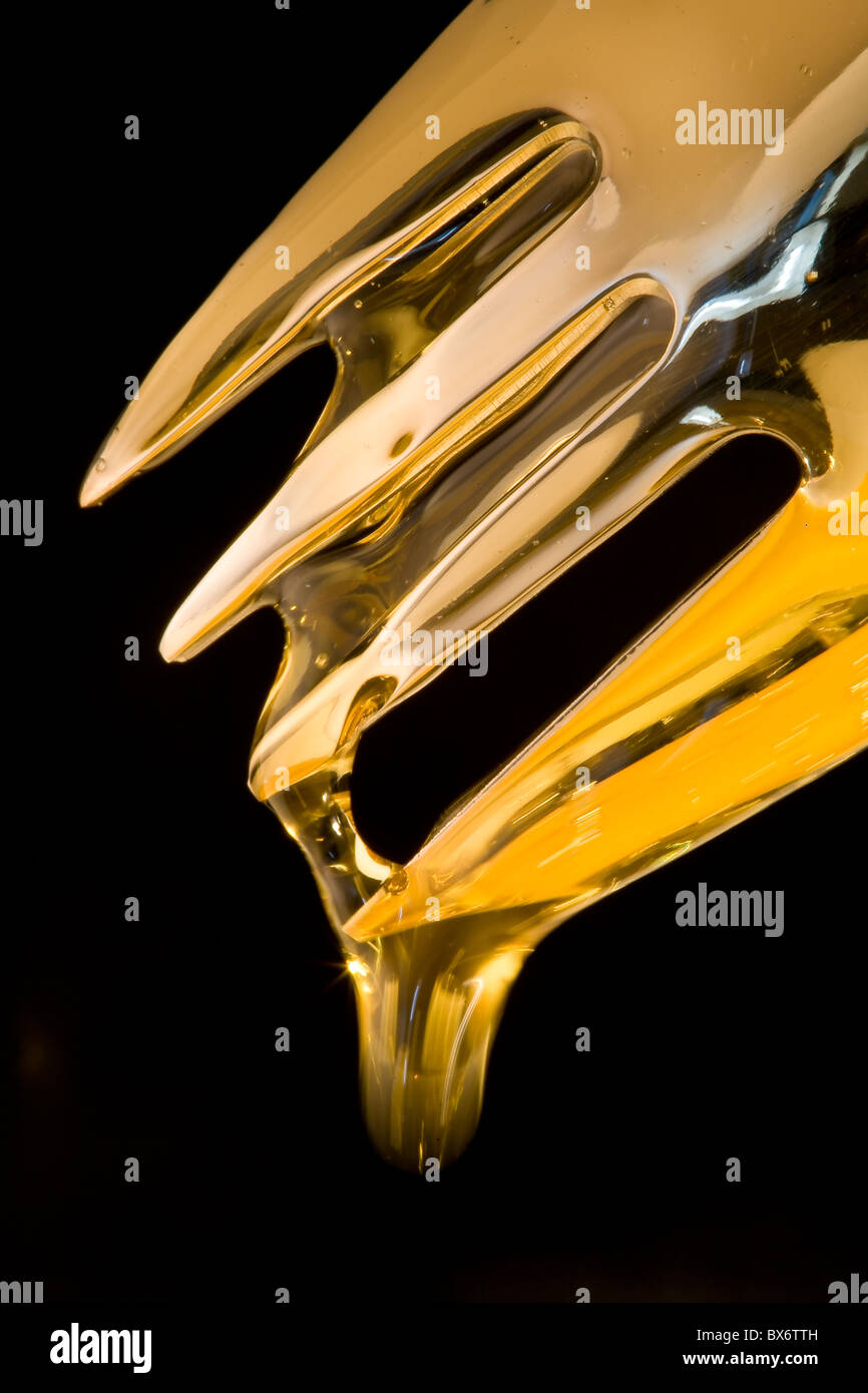 Golden Syrup tropft aus einer Gabel. Stockfoto