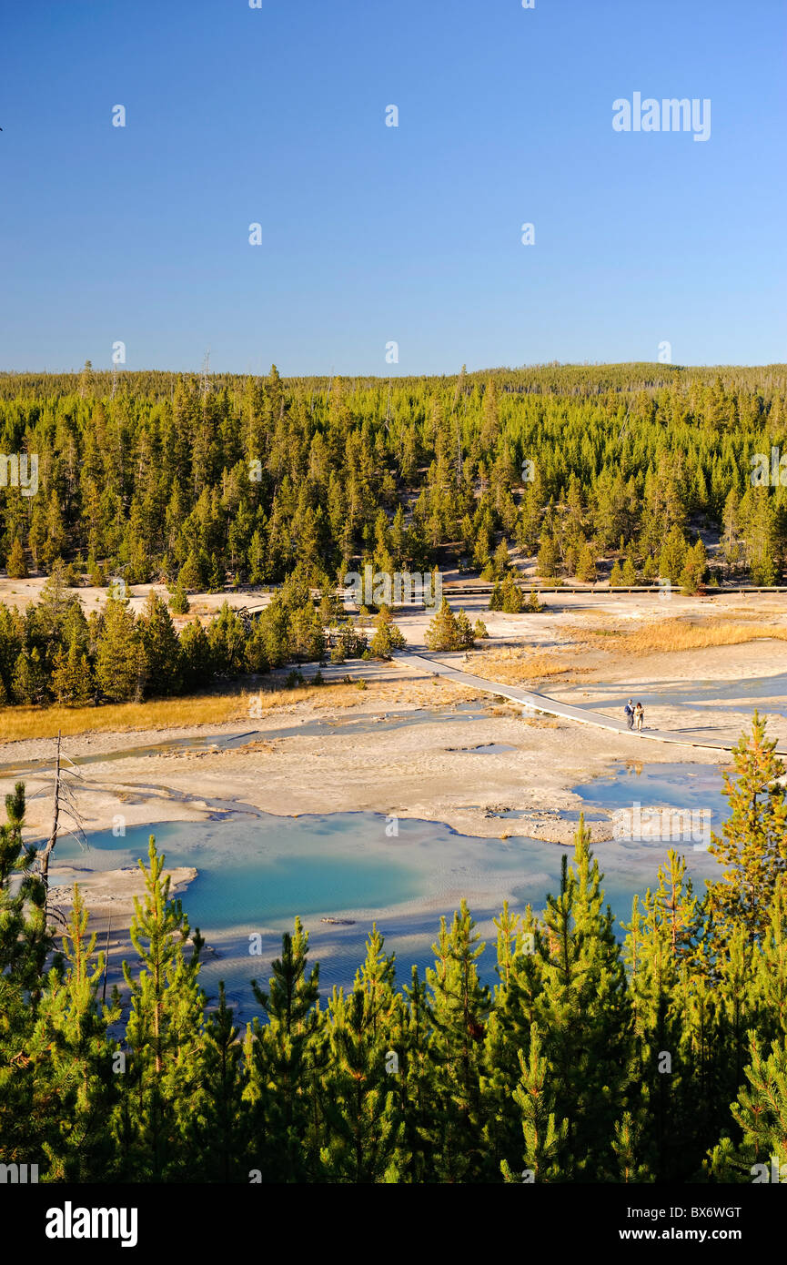 Norris Geyser Basin, Yellowstone-Nationalpark, Wyoming, USA Stockfoto