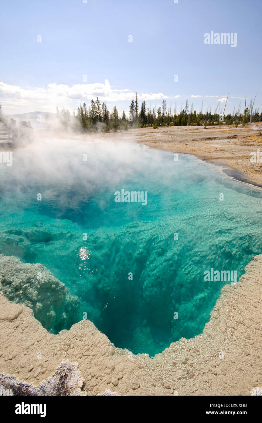 Schwarz-Pool, West Thumb Geyser Basin, Yellowstone-Nationalpark, Wyoming, USA Stockfoto