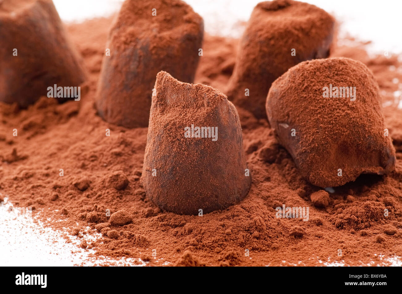 Süße Schokolade Trüffel mit Kakaopulver als Closeup auf weißem Hintergrund Stockfoto
