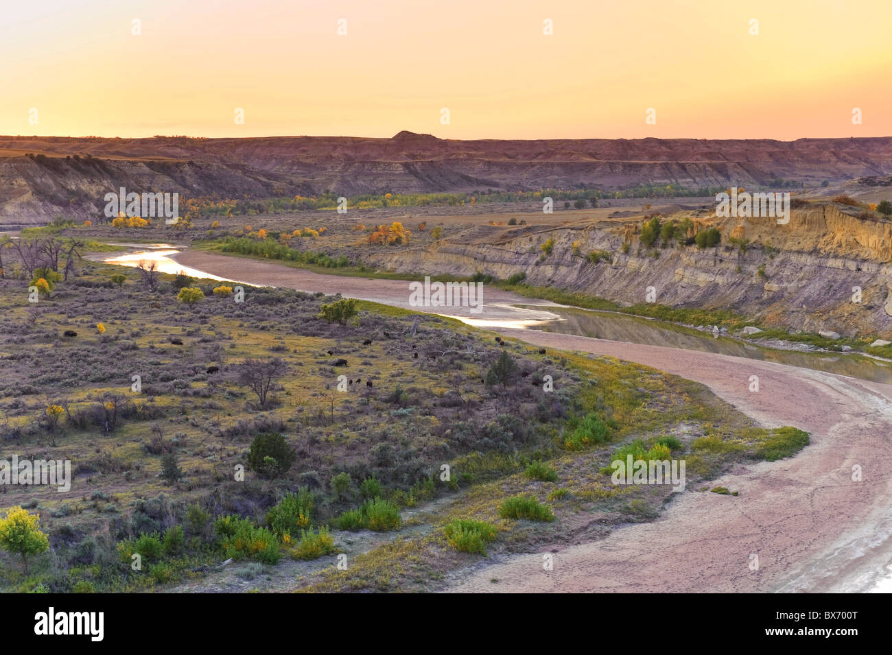 Little Missouri River, Theodore Roosevelt Nationalpark (South Unit), North Dakota, USA Stockfoto