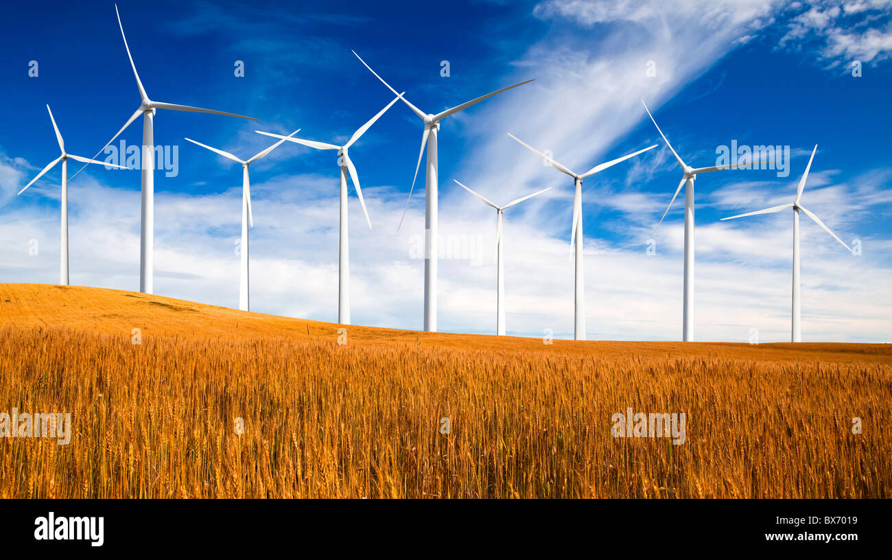 Saubere Energie von einem Windmühlen-park Stockfoto