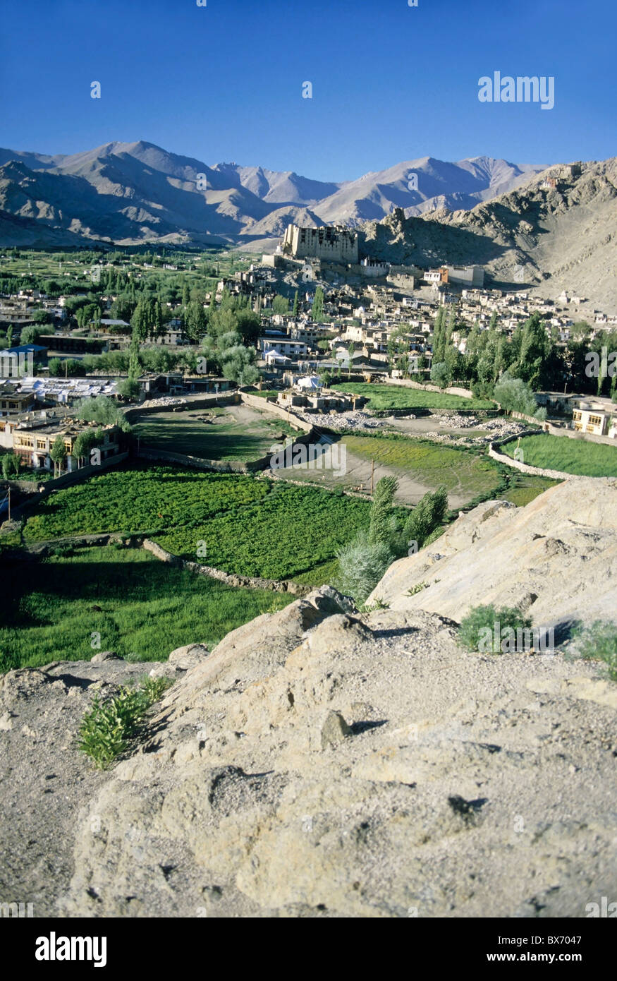 Leh-Palast mit Blick auf die Stadt Leh, Ladakh, Indien Stockfoto