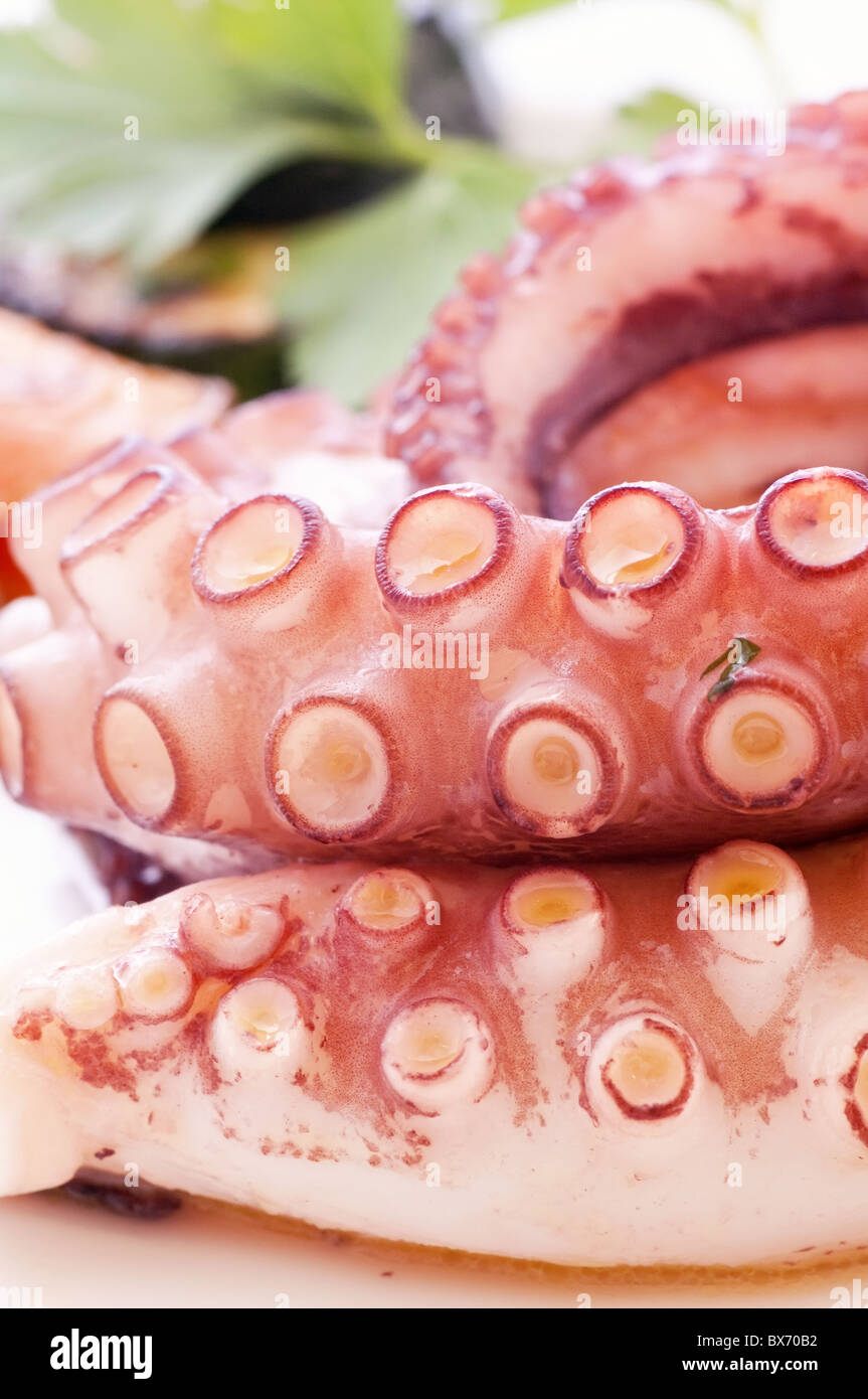 Gegrillter Tintenfisch mit Gemüse als Closeup auf einem weißen Teller Stockfoto