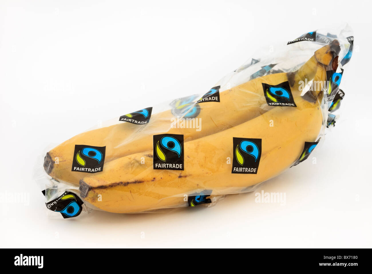 Bunch von gesunden Fairtrade-Bananen, verpackt in einer Plastiktüte auf weißem Hintergrund. England Großbritannien Stockfoto