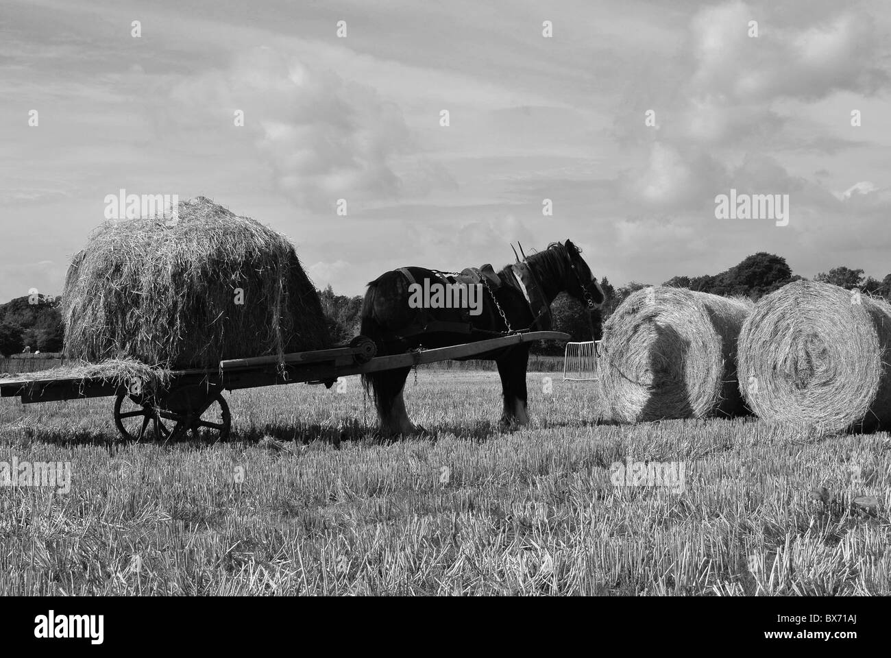 Pferd und Wagen bei einer Landwirtschaftsausstellung in Irland Stockfoto