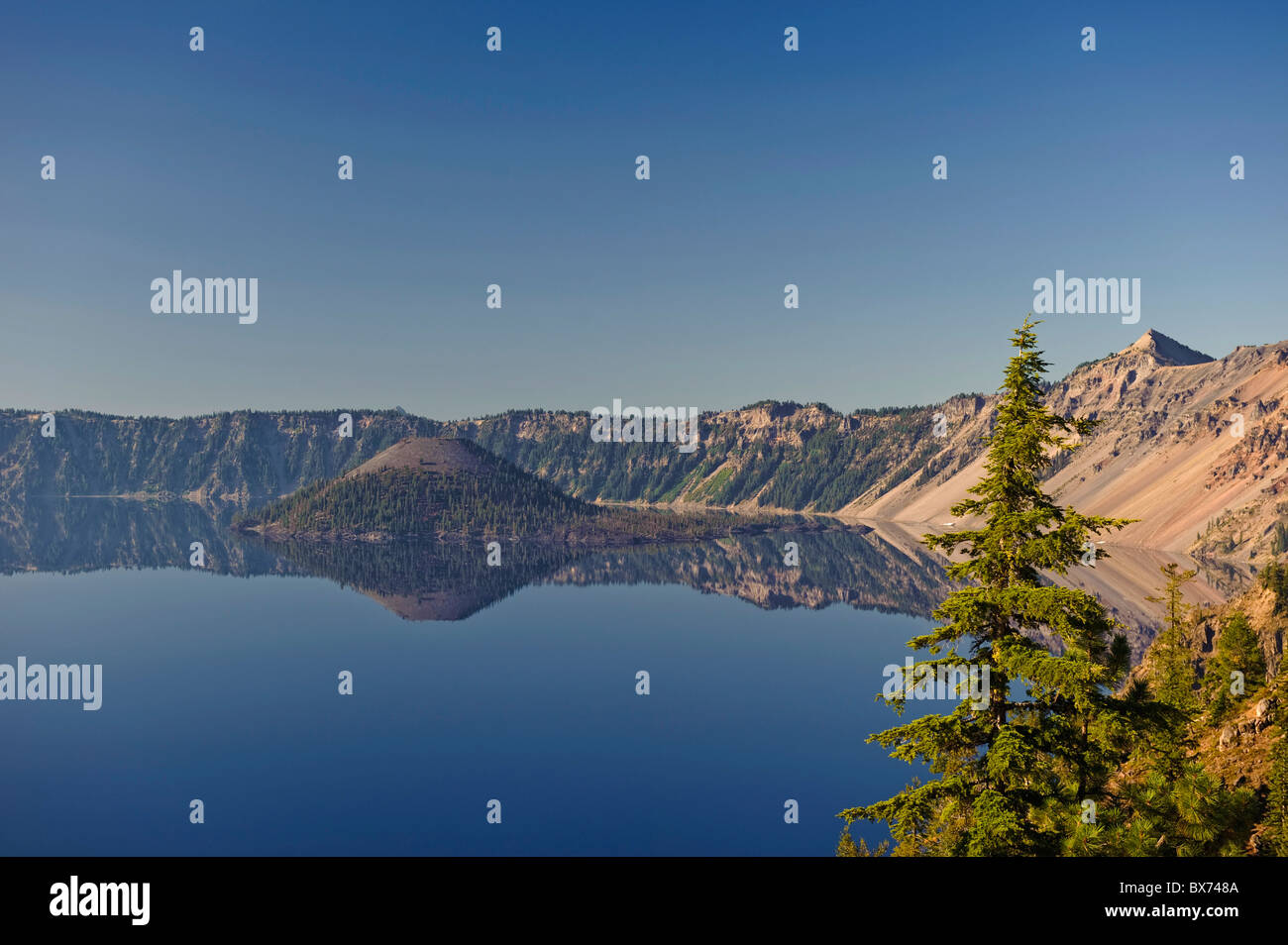 USA, Oregon, Crater Lake Nationalpark, Kratersee und Wizard Island Stockfoto