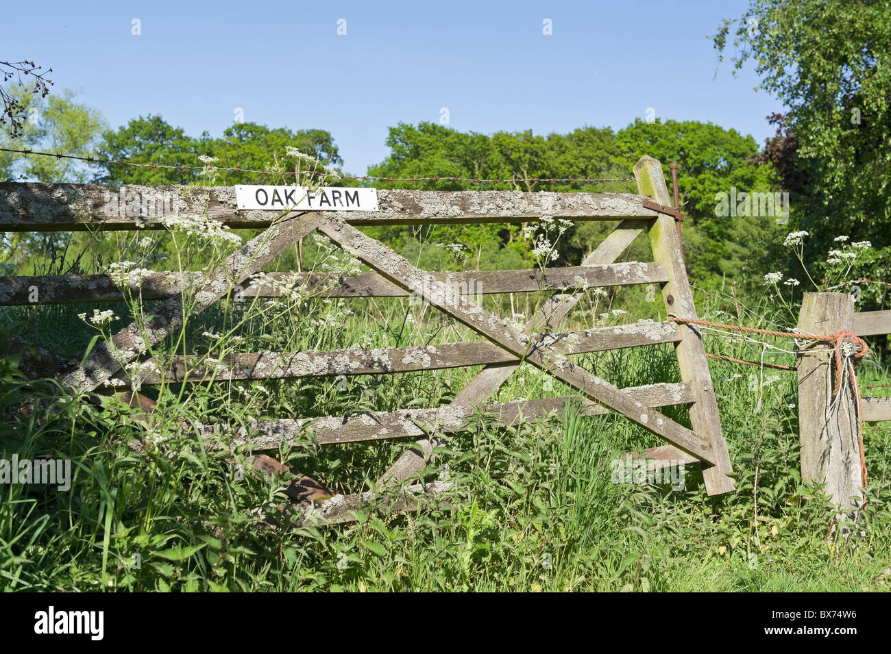 Alte rustikale Holztor am Eingang zum Feld Stockfoto