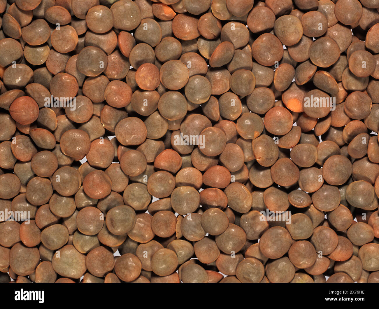 Braune Linsen (Lens Culinaris) vorbereitet für das Kochen, zu produzieren, der Türkei Stockfoto