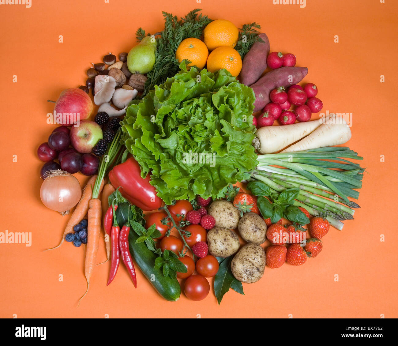 Kreis von saisonalem Obst und Gemüse Stockfoto