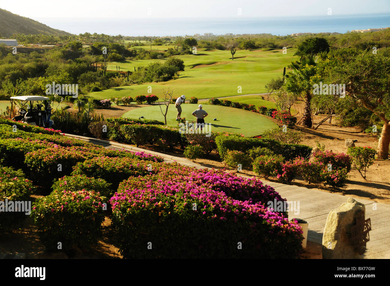 Leute spielen Golf im Cabo Real Golf Club in San Jose del Cabo am Pazifischen Ozean in Baja, Mexiko Stockfoto