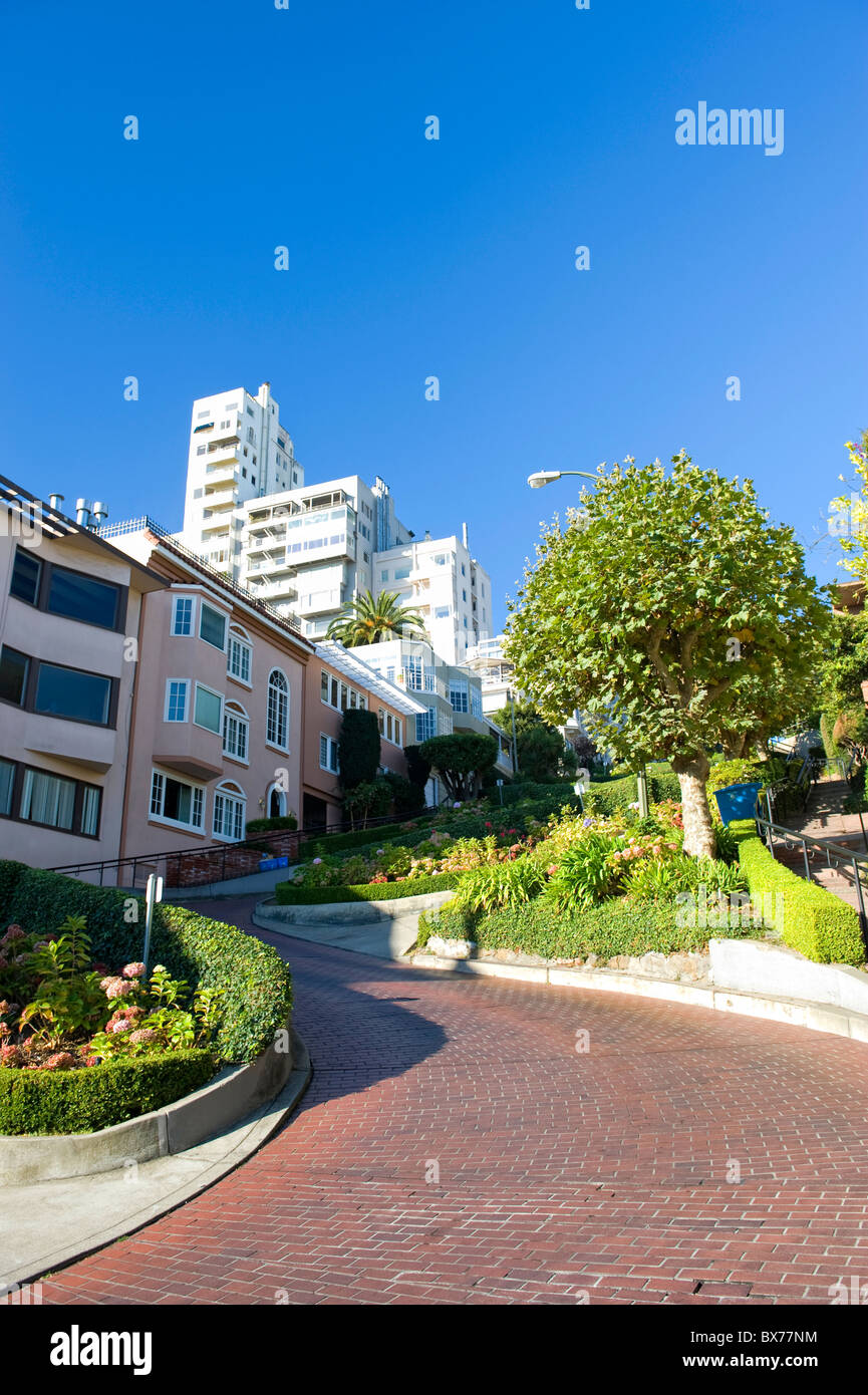 USA, Kalifornien, San Francisco, Lombard Street Stockfoto
