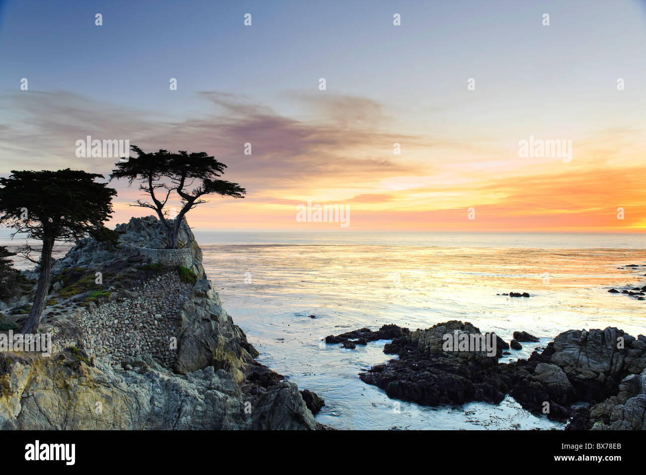 USA, California, Monterey Peninsula, 17 Mile Drive, Lone Cypress Stockfoto
