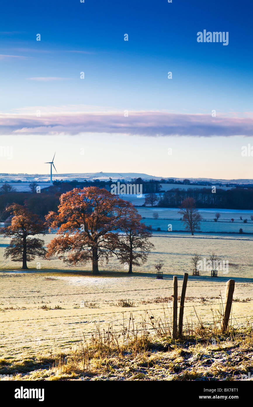 Frühmorgens am Coleshill, Oxfordshire, Blick in Richtung Westmill Windpark und Wiltshire, England, UK Stockfoto