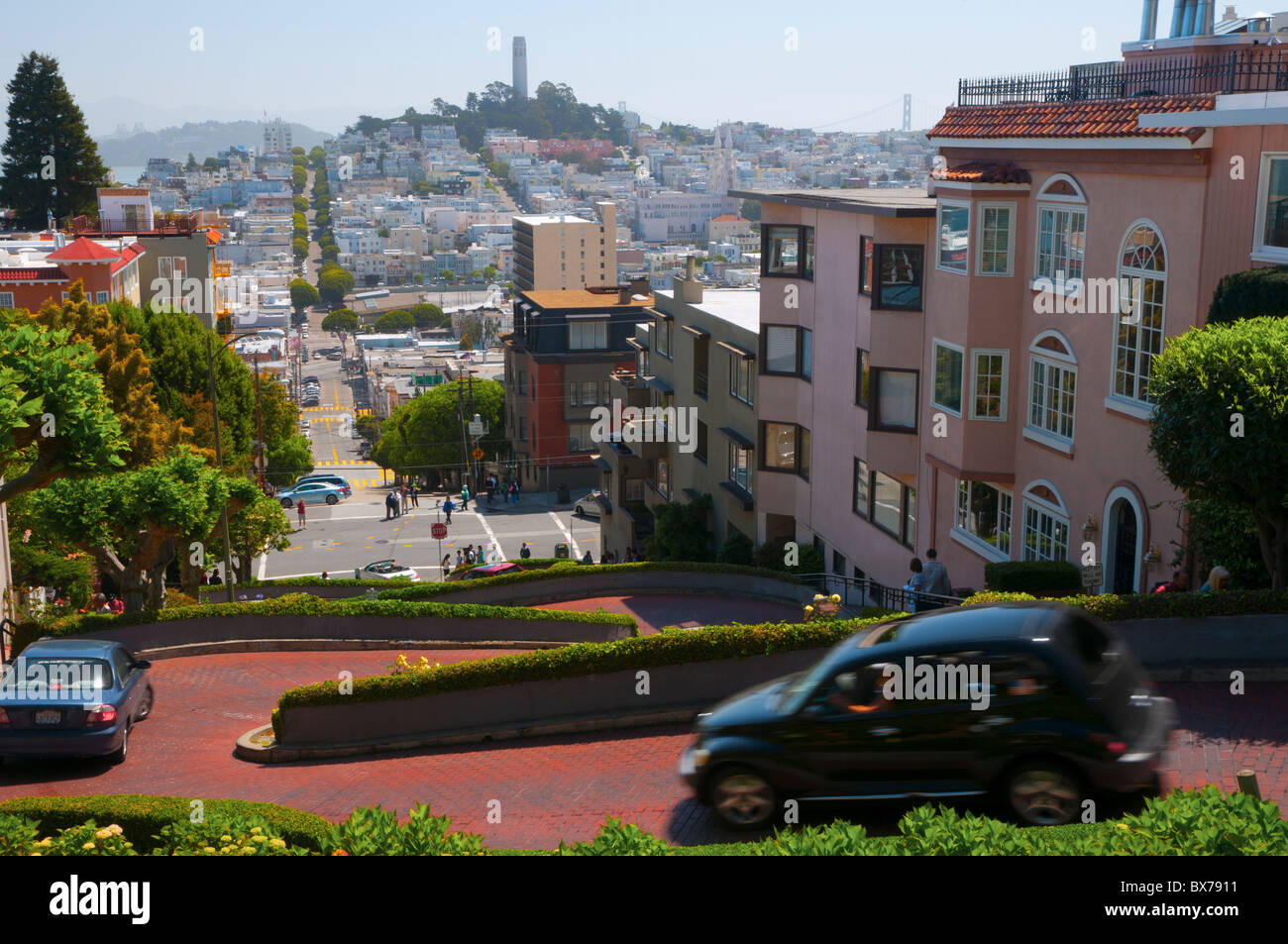 Lombard Street, die kurvenreichsten Straßen in der Welt, San Francisco, Kalifornien, Vereinigte Staaten von Amerika, Nordamerika Stockfoto