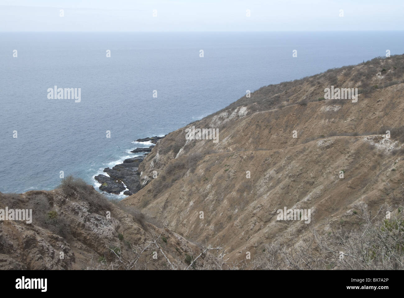 Isla De La Plata, Ecuador. Stockfoto