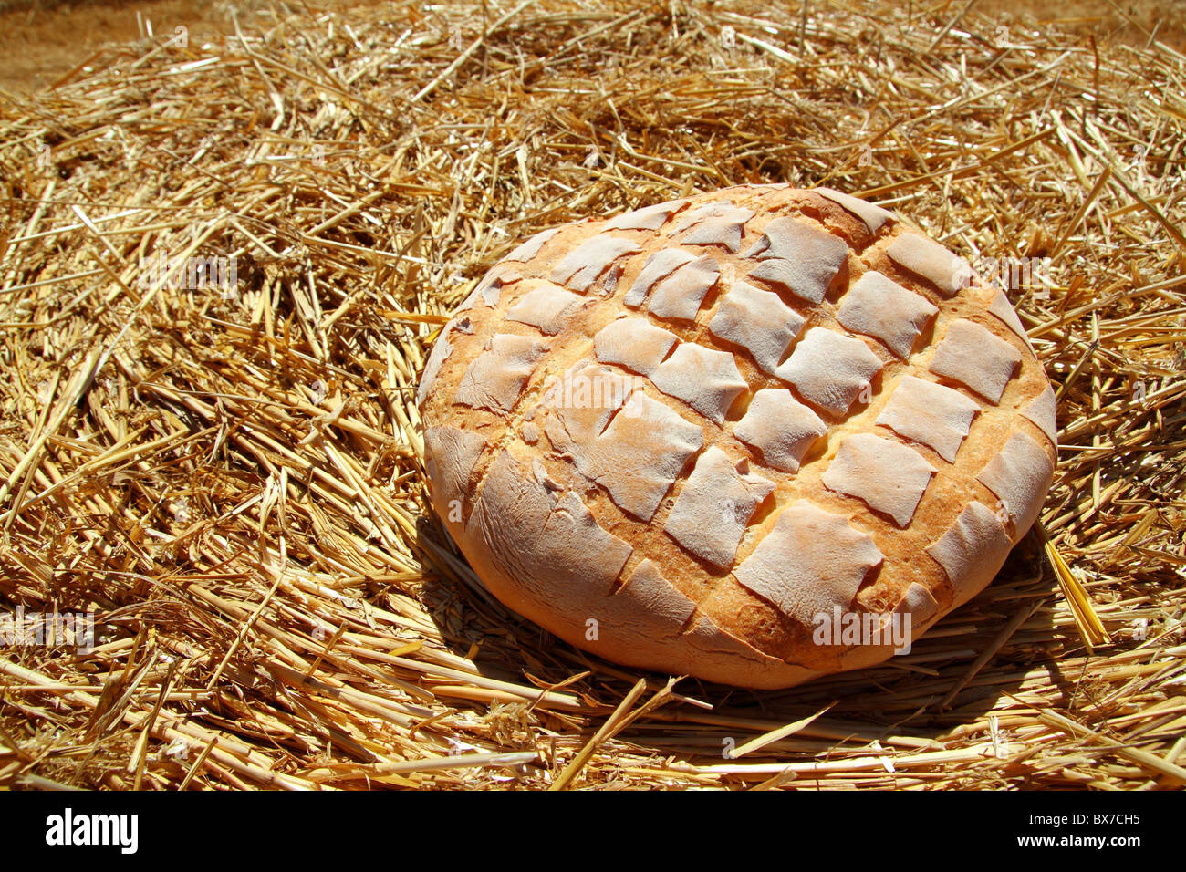 Brot Brötchen-Runde zum goldenen Weizenstroh Hintergrund Stockfoto