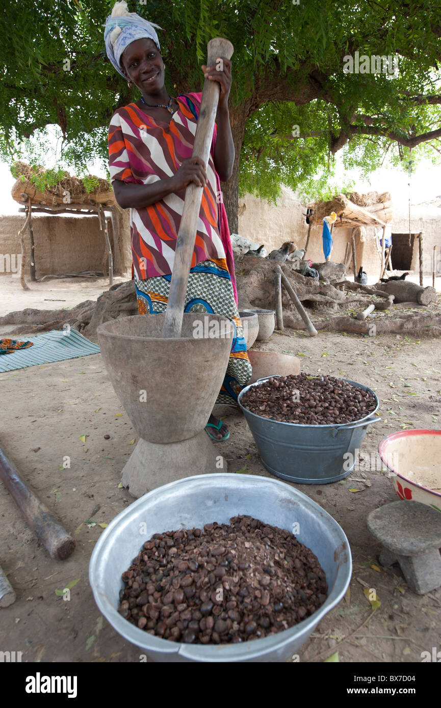 Erwachsene Frau Sheanüsse hämmerte. Entholzung erfolgt durch Zerkleinern der äußeren Hülle um die Kerne zu entfernen. Mali, Westafrika. Stockfoto