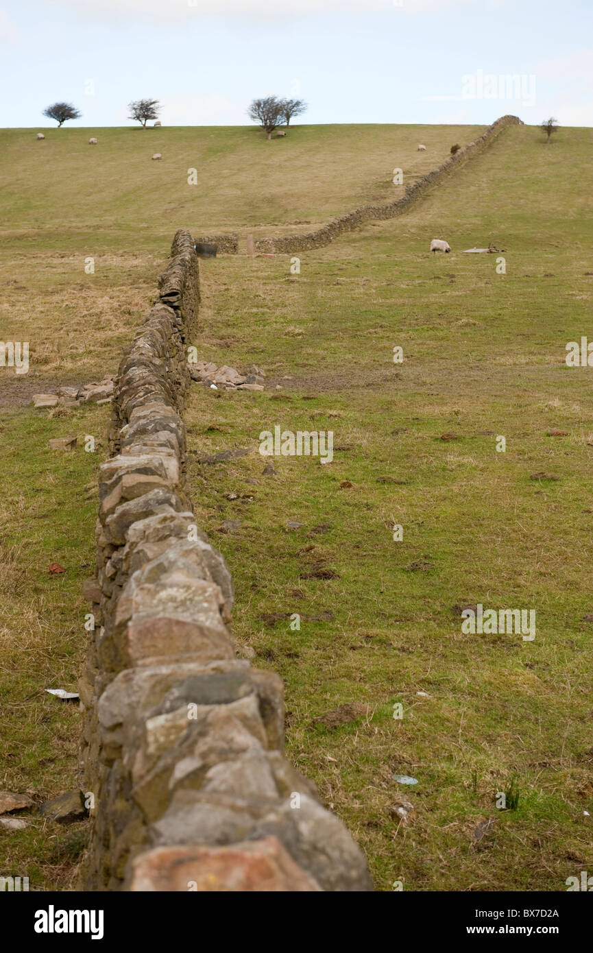Steinmauer über Feld Stockfoto