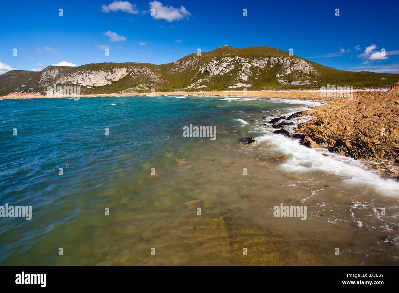 Roten Flechten bedeckt Felsen Rocky Cape, Rocky Cape National Park, Stanley in Tasmanien Stockfoto