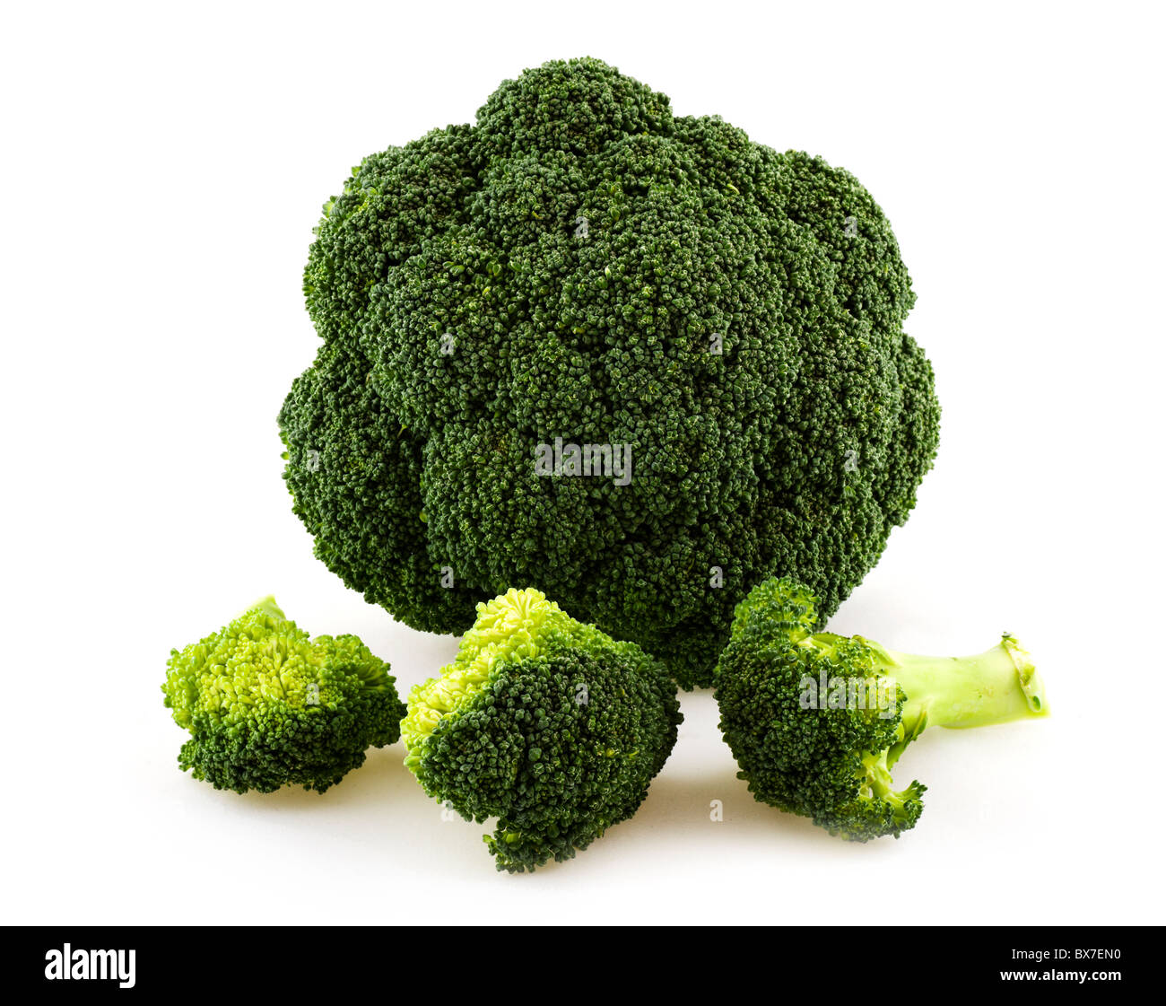 Brokkoli (Brassica Oleracea) Stockfoto
