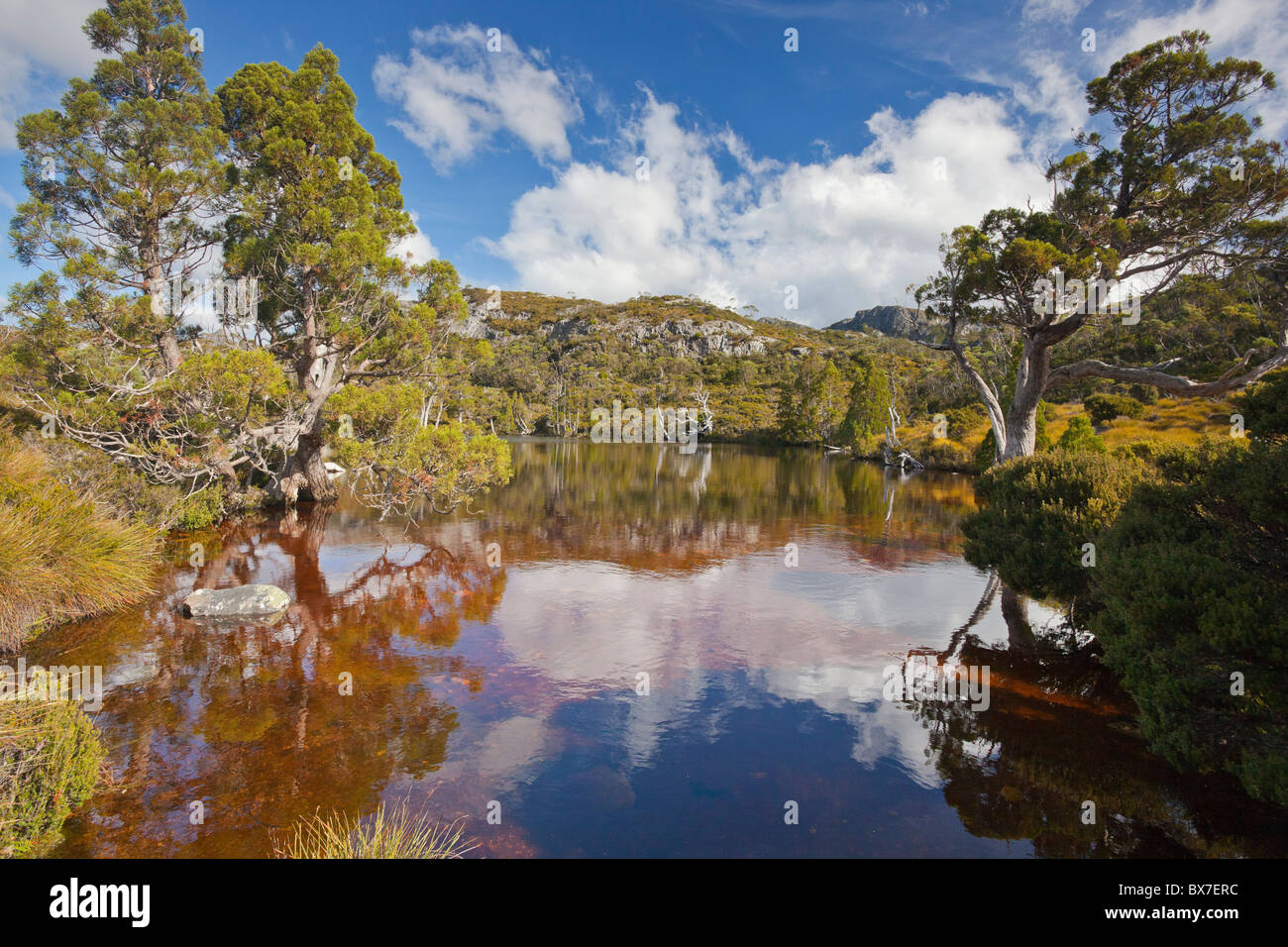 Wombat Pool, Cradle Mountain Lake St. Clair Nationalpark in Tasmanien Stockfoto