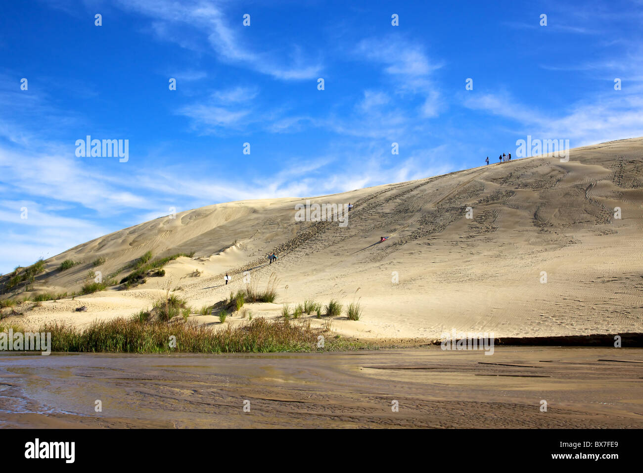 Düne Boarding am 90 Mile Beach auf der neuseeländischen Nordinsel. Stockfoto