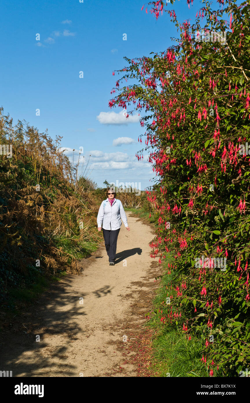 dh HERM GUERNSEY Wanderfrau, die auf dem Herm-Fußweg herumläuft Insel und Belvoir Bay Trail Channel Inseln großbritannien Stockfoto