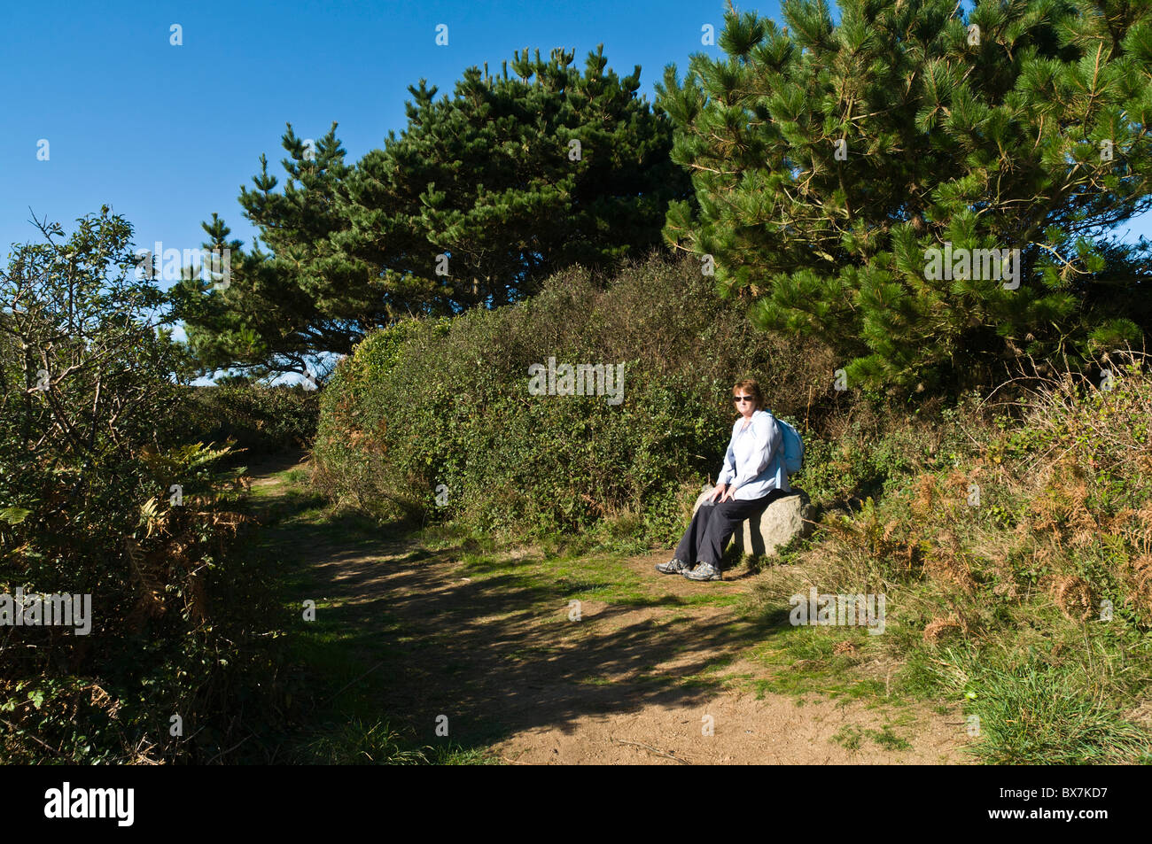 dh Herm Insel HERM GUERNSEY Frau Tourist sitzt der Steinbank Herm Insel Wanderweg Pinienwälder Stockfoto