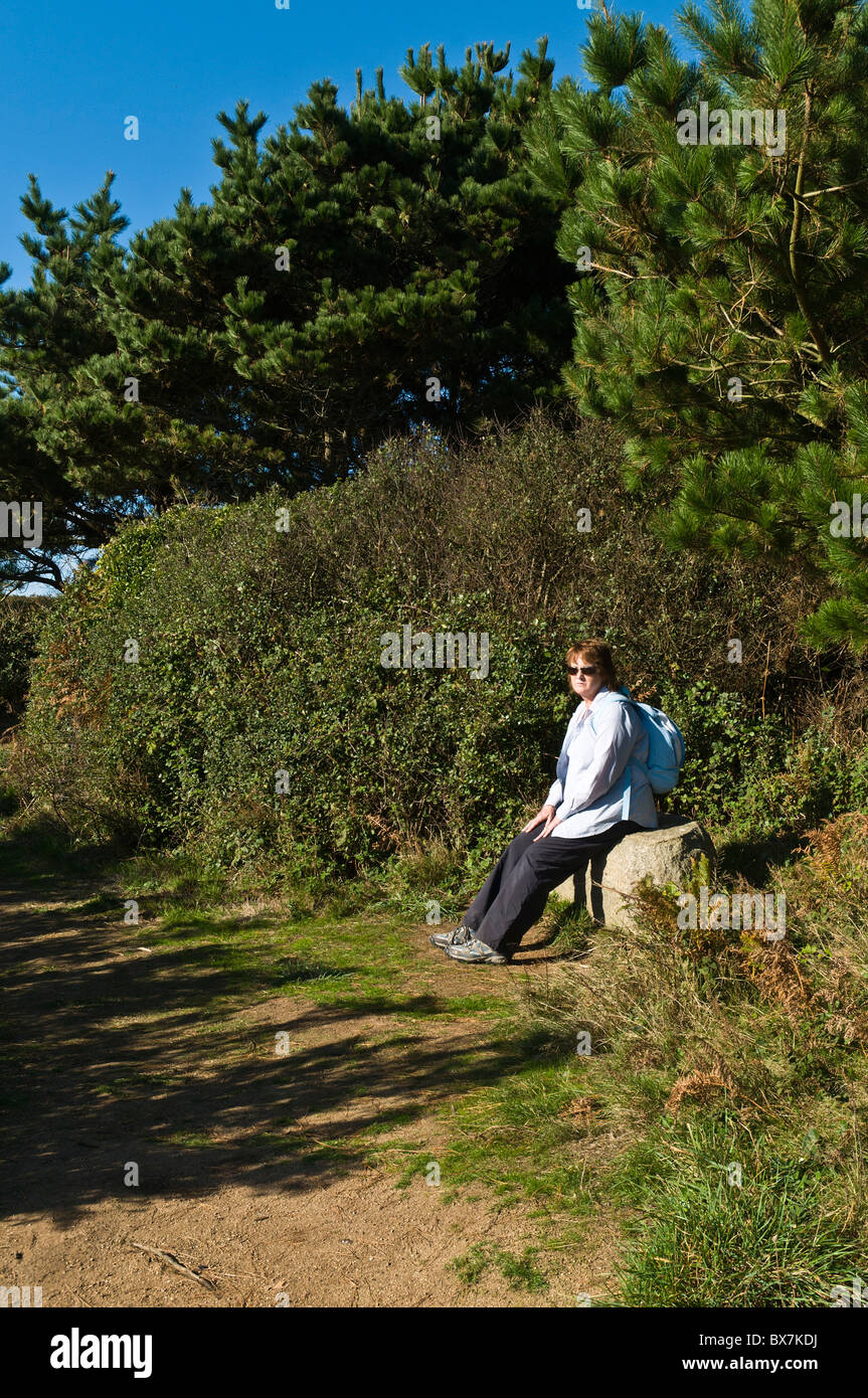 dh Herm Insel HERM GUERNSEY Frau Tourist sitzt der Steinbank Herm Insel Wanderweg Pinienwälder Stockfoto