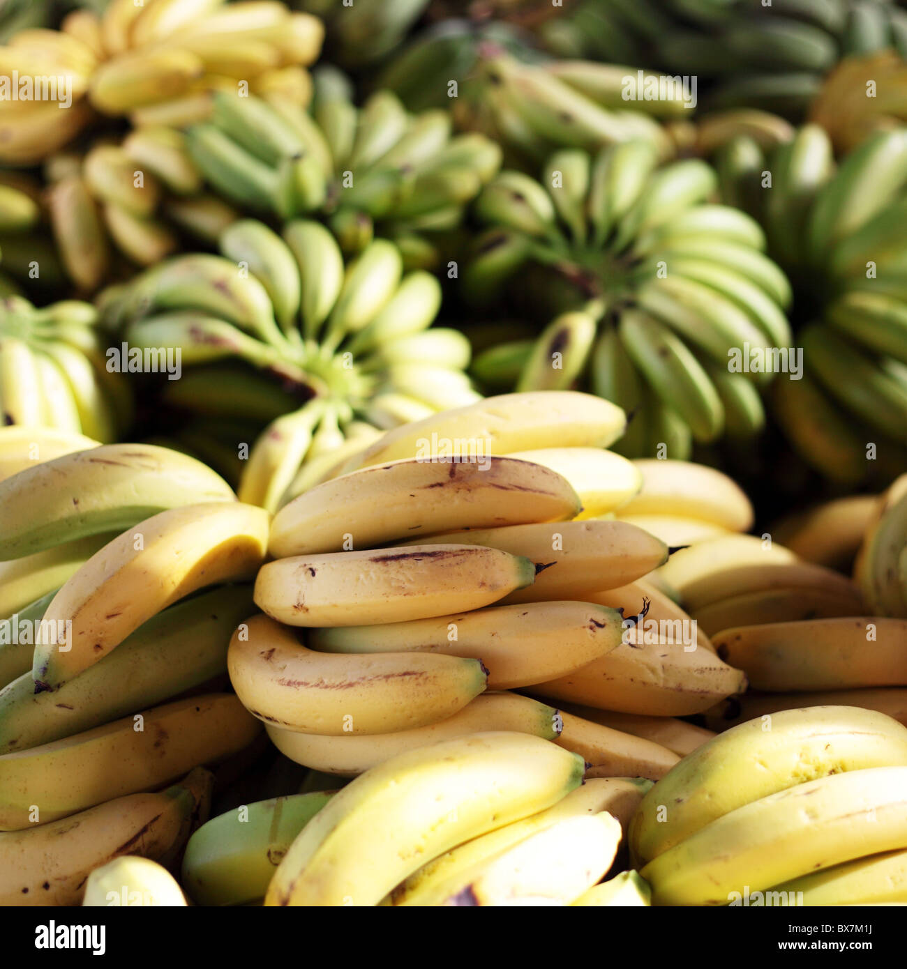 Marktstand mit Bananen. Stockfoto