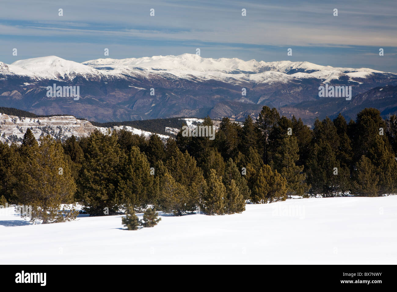 Ansicht des Puigmal Peak von Rasos de Peguera, Berguedà, Barcelona, Spanien Stockfoto