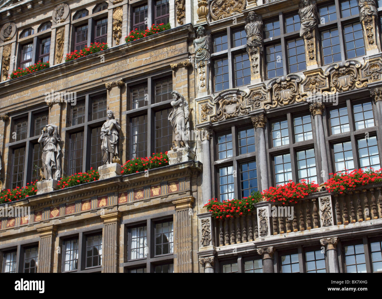 Fassade des Guildhall in Brüssel Belgien Stockfoto