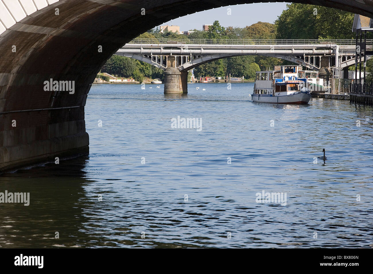 Bootsfahrten auf dem Fluss Themse Kingston upon Thames Stockfoto