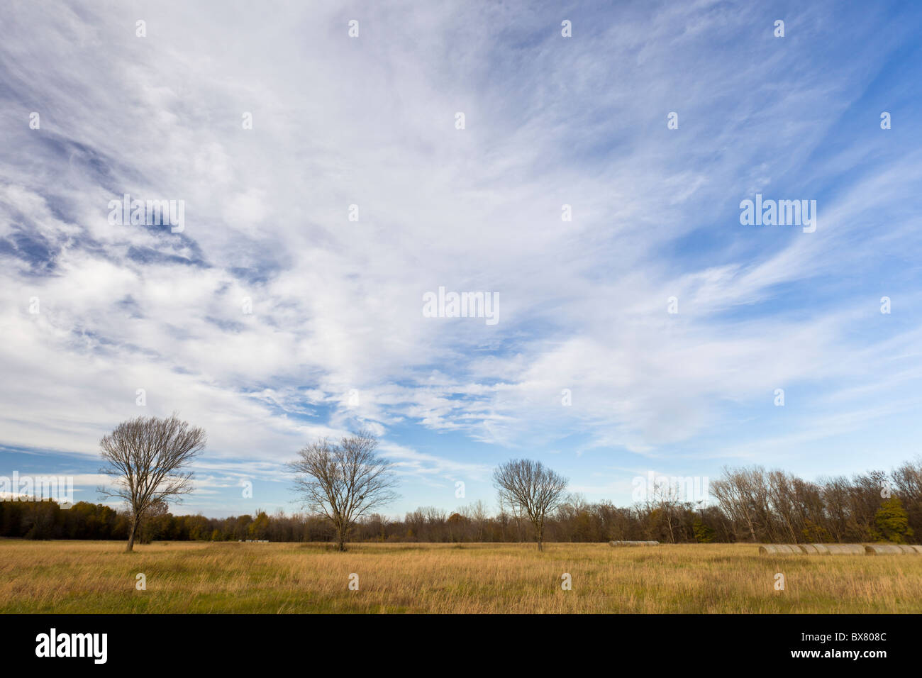 Reihe von kahlen Bäumen und Wildgras im späten Winter bei der Spiro Dämme archäologische Stätte in Oklahoma, USA. Stockfoto