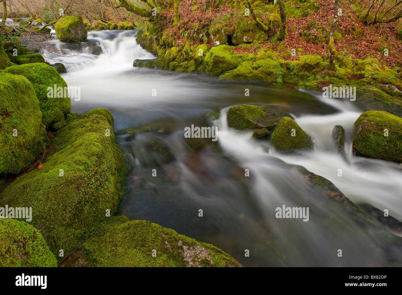 Ein schöner und sauberer Fluss fließt durch einen alten schottischen Eichenwälder im Spätherbst mit Moos bedeckt Felsbrocken Stockfoto