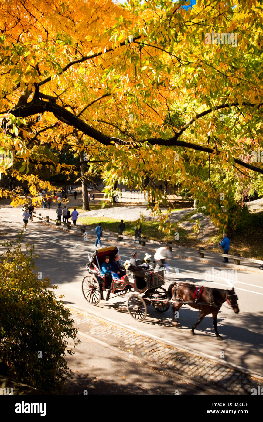 Herbst Farben im Central Park in New York City. Stockfoto