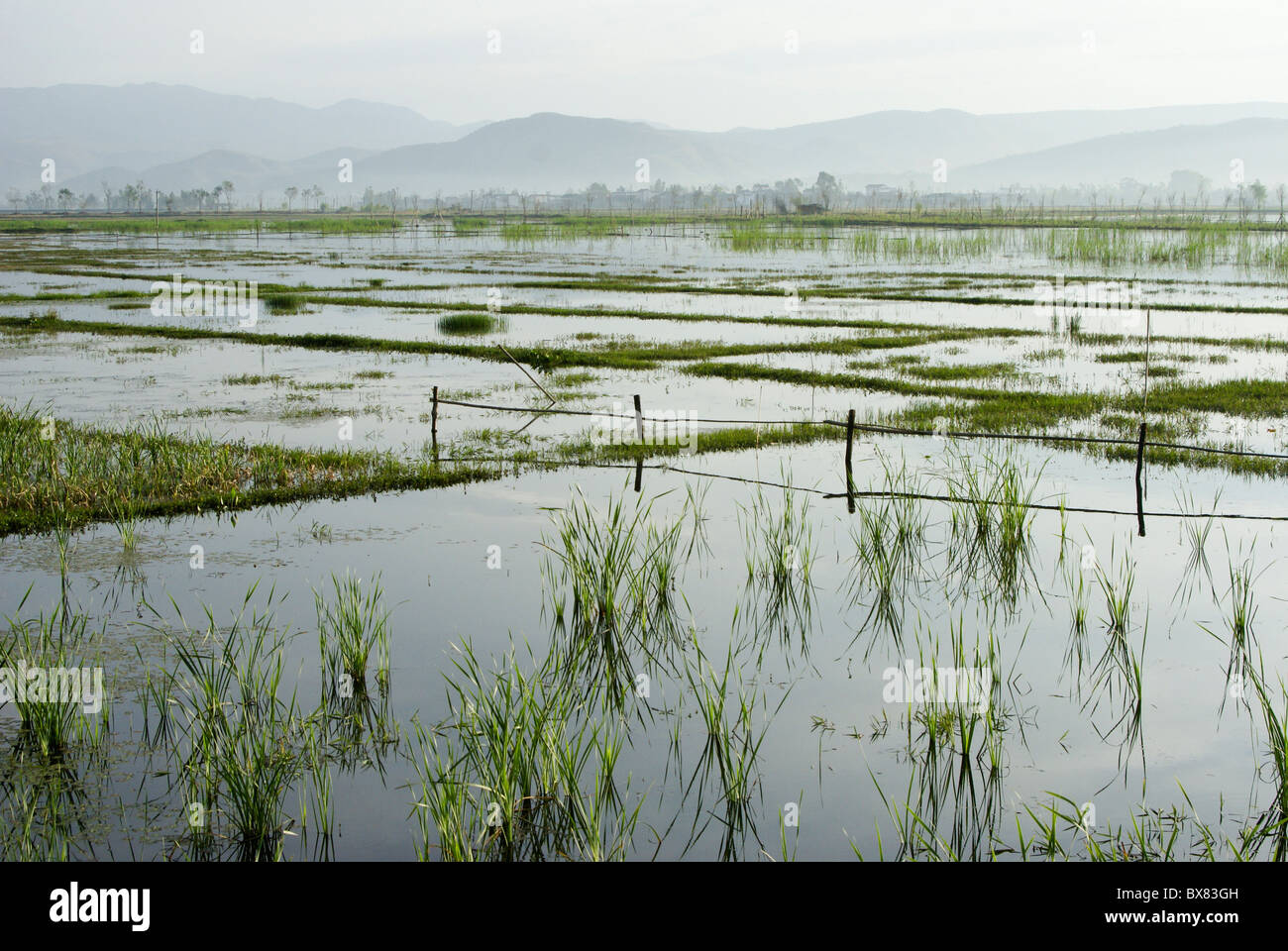 Überflutete Feldern in der Nähe von Dali, Yunnan, China Stockfoto
