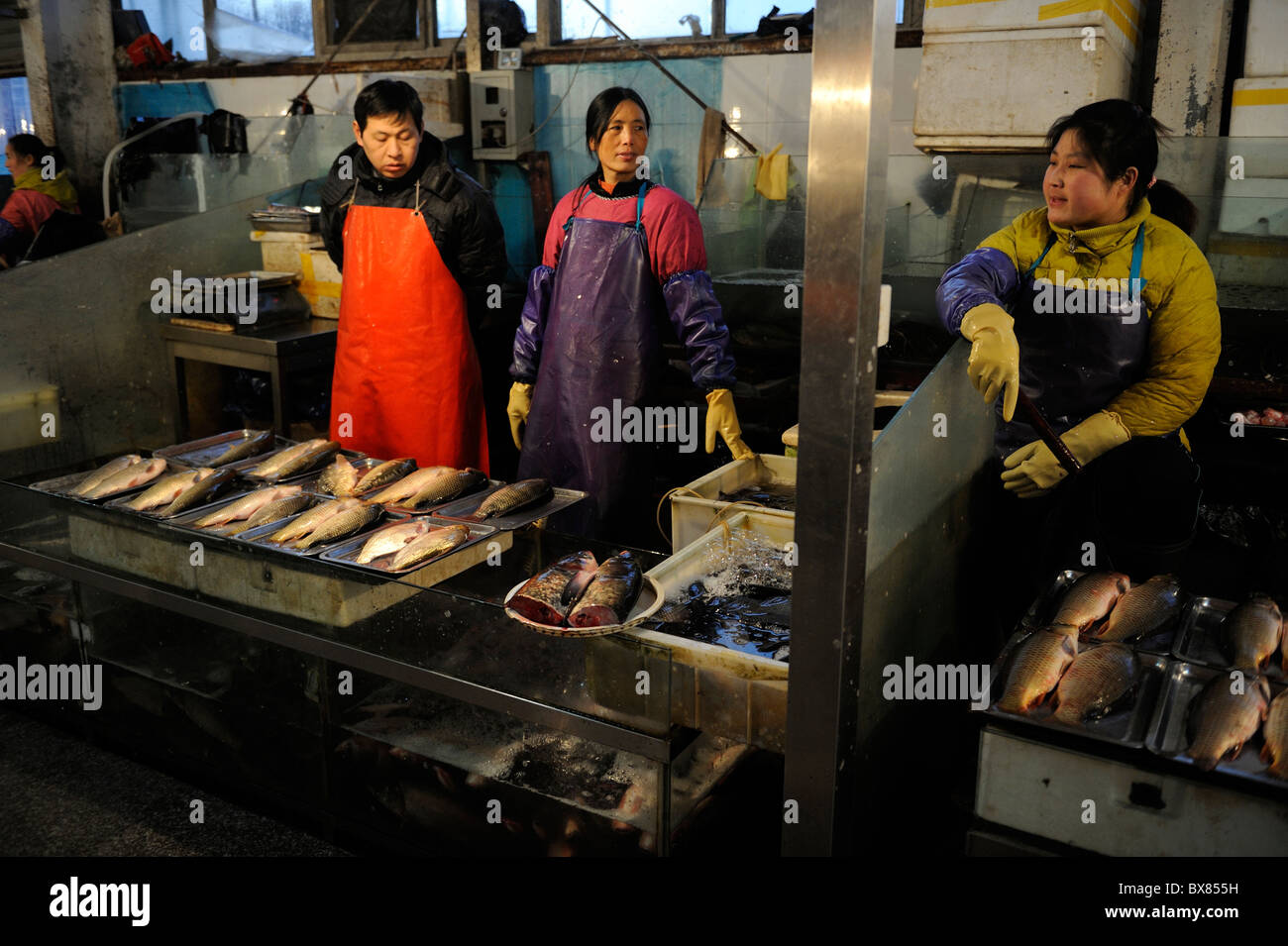 Anbieter verkaufen live Fluss Fische auf einem Markt in Peking, China. 10. Dezember 2010 Stockfoto