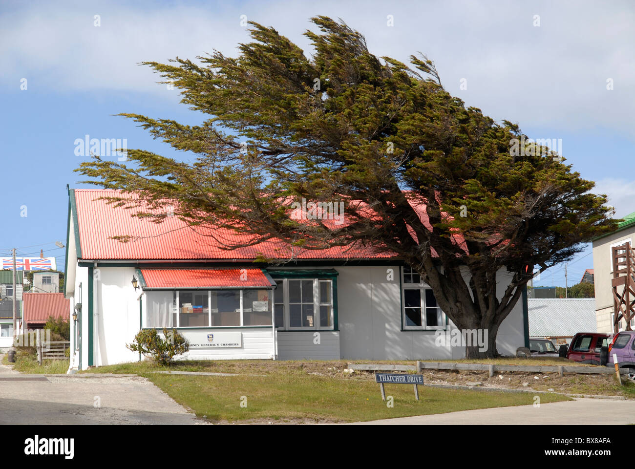 Haus mit einem Baum, geformt durch den Wind, Port Stanley, Falkland-Inseln Stockfoto
