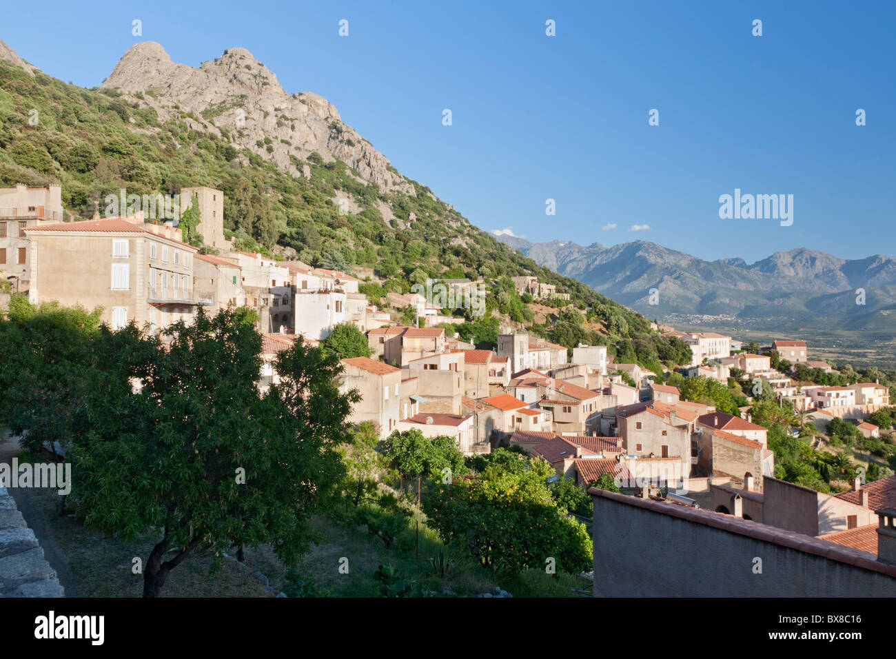 Lumio, Balagne, Korsika, Frankreich Stockfoto