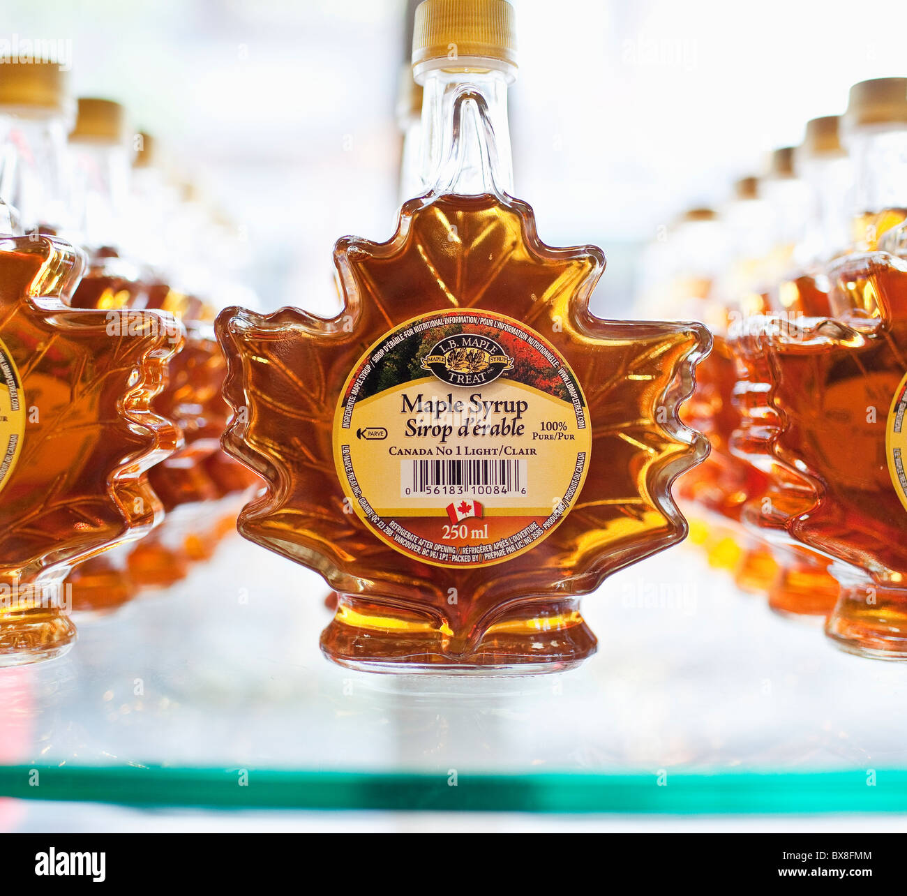 Kanadischer Ahorn Sirup in Glasflaschen. Stockfoto