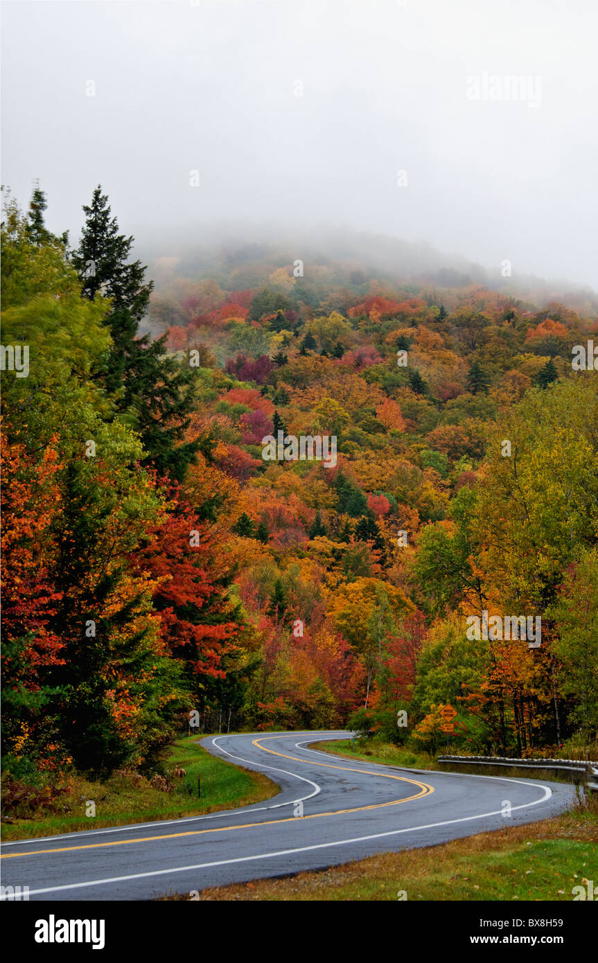 Nebel und Herbst Farbe auf Route 100 in Windham County, Vermont Stockfoto