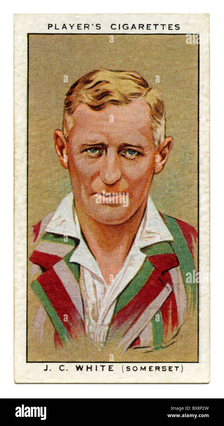 1934-Zigarette-Karte mit Porträt des Cricketspieler von Jack White von Somerset und England Stockfoto