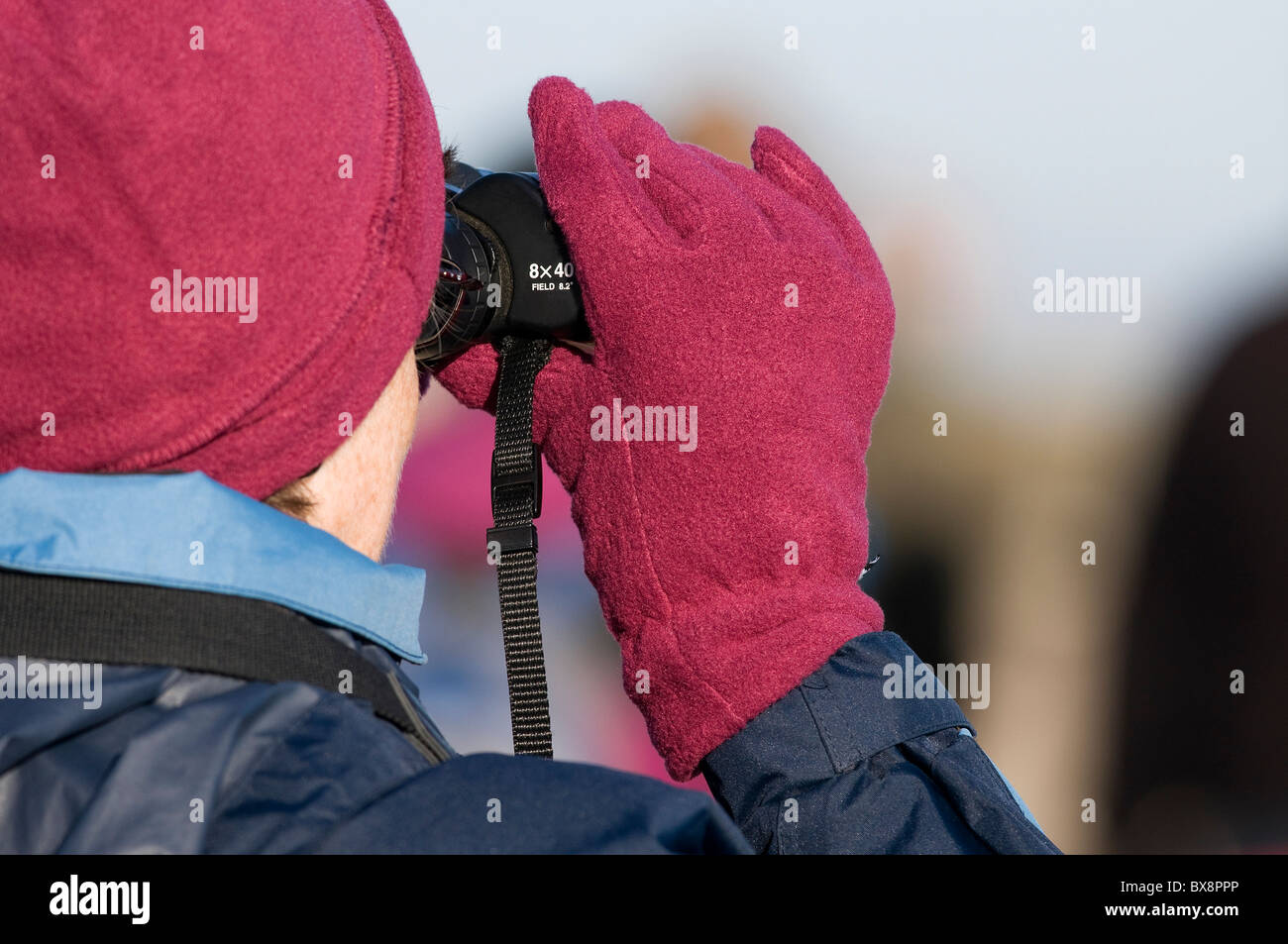 Vogelbeobachter am Titchwell Rspb reserve, Norfolk, england Stockfoto