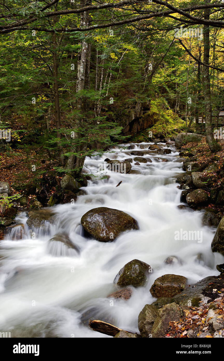 Flume Brook in Flume Gorge im Franconia Notch State Park in Grafton County, New Hampshire Stockfoto