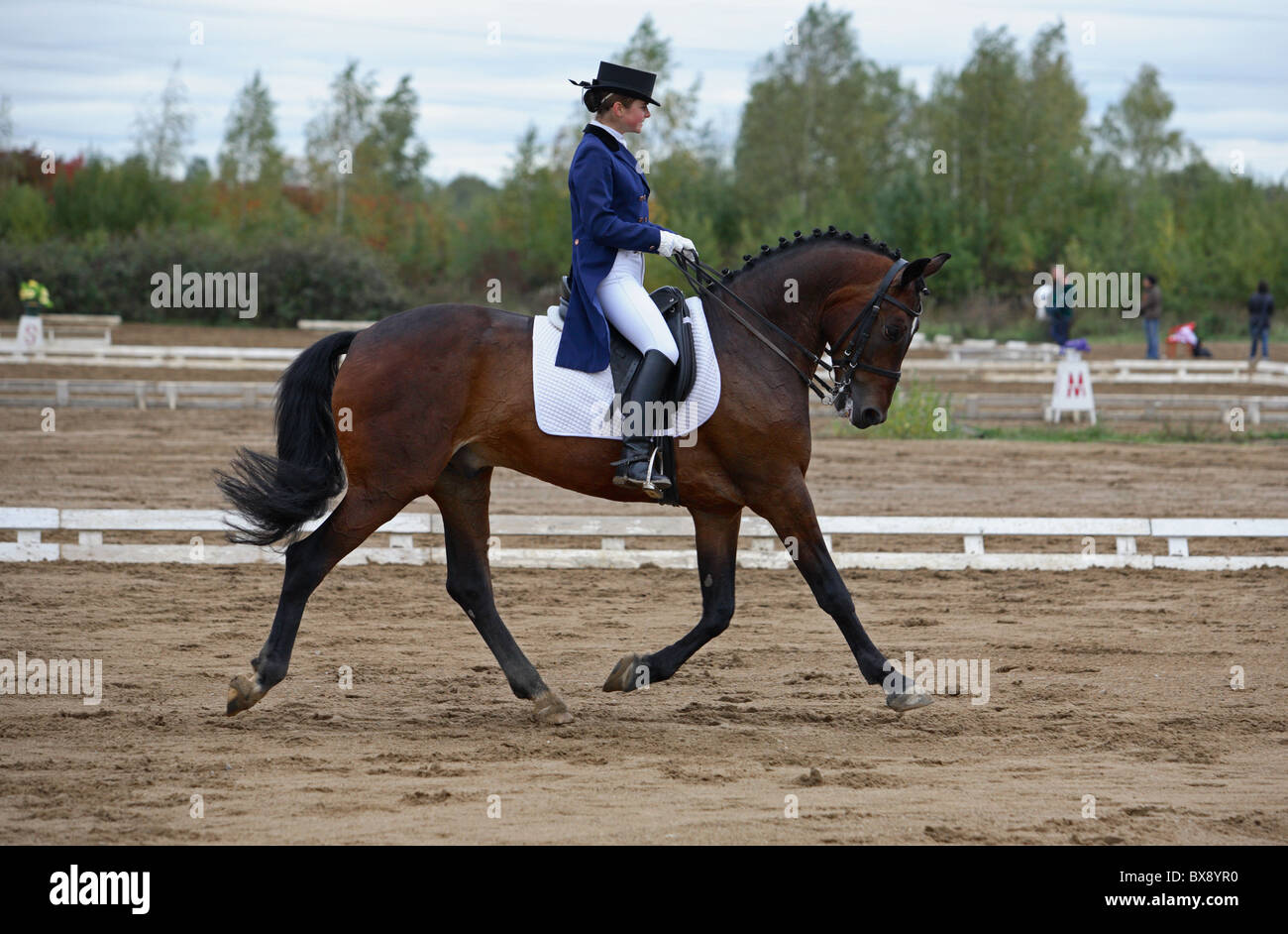 Dressage rider riding on german -Fotos und -Bildmaterial in hoher Auflösung  – Alamy